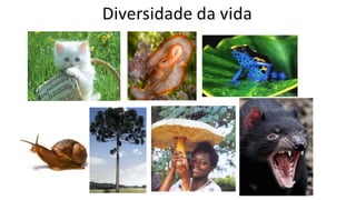 Diversidade da vida
 