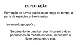 ESPECIAÇÃO
Formação de novas espécies ao longo do tempo, a
partir de espécies pré-existentes
Isolamento geográfico:
Surgimento de uma barreira física entre duas
populações da mesma espécie, impedindo o
fluxo gênico entre elas
 
