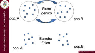 Prof. Dr. Hermínio Benítez
Prof. Dr. Hermínio Benítez
UNIVERSIDADE
FEDERAL
DO
MARANHÃO
Fluxo
gênico
pop. A pop.B
pop. A pop.B
Barreira
física
 