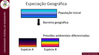 Prof. Dr. Hermínio Benítez
Prof. Dr. Hermínio Benítez
UNIVERSIDADE
FEDERAL
DO
MARANHÃO Especiação Geográfica
População inicial
Barreira geográfica
Pressões ambientais diferenciadas
Espécie A Espécie B
 