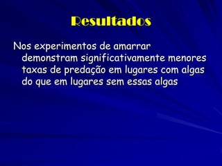 Resultados 
Nos experimentos de amarrar demonstram significativamente menores taxas de predação em lugares com algas do que em lugares sem essas algas  