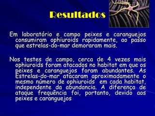 Resultados 
Em laboratório e campo peixes e caranguejos consumiram ophiuroids rapidamente, ao passo que estrelas-do-mar demoraram mais. 
Nos testes de campo, cerca de 4 vezes mais ophiuroids foram atacados no habitat em que os peixes e caranguejos foram abundantes. As Estrelas-do-mar atacaram aproximadamente o mesmo número de ophiuroids em cada habitat, independente da abundancia. A diferença de ataque frequência foi, portanto, devido aos peixes e caranguejos  
