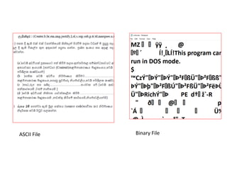 ASCII File Binary File
 