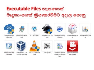 Executable Files නැතමොත්
මෘදුකාංගයක් ක්‍රියාකරීමට අදාල මගාු
 