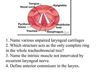 1. Name various unpaired laryngeal cartilages
2. Which structure acts as the only complete ring
in the whole tracheobroncial tree?
3. Name the intrisic muscle not innervated by
recurrent laryngeal nerve.
4. Define anterior commisure in the larynx.
 