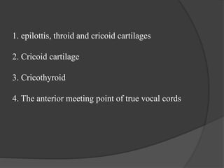 1. epilottis, throid and cricoid cartilages
2. Cricoid cartilage
3. Cricothyroid
4. The anterior meeting point of true vocal cords
 