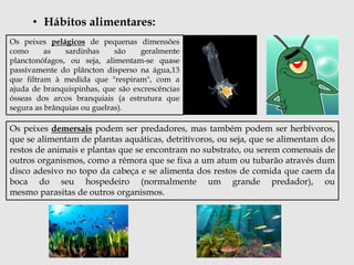 • Hábitos alimentares: 
Os peixes pelágicos de pequenas dimensões 
como as sardinhas são geralmente 
planctonófagos, ou seja, alimentam-se quase 
passivamente do plâncton disperso na água,13 
que filtram à medida que "respiram", com a 
ajuda de branquispinhas, que são excrescências 
ósseas dos arcos branquiais (a estrutura que 
segura as brânquias ou guelras). 
Os peixes demersais podem ser predadores, mas também podem ser herbívoros, 
que se alimentam de plantas aquáticas, detritívoros, ou seja, que se alimentam dos 
restos de animais e plantas que se encontram no substrato, ou serem comensais de 
outros organismos, como a rémora que se fixa a um atum ou tubarão através dum 
disco adesivo no topo da cabeça e se alimenta dos restos de comida que caem da 
boca do seu hospedeiro (normalmente um grande predador), ou 
mesmo parasitas de outros organismos. 
 