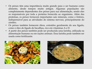 • Os peixes têm uma importância muito grande para o ser humano como 
alimento, desde tempos muito antigos. Algumas populações são 
completamente dependentes dos peixes para sua alimentação, sendo eles 
os responsáveis por toda a proteína fornecida ao organismo. Além das 
proteínas, os peixes fornecem importantes sais minerais, como o fósforo, 
indispensável para as atividades do sistema nervoso, principalmente do 
cérebro. 
• Os peixes também fornecem óleos, extraídos geralmente do seu fígado, 
como o óleo de fígado de bacalhau, rico em vitaminas A e D. 
• A partir dos peixes também pode ser produzida uma farinha, utilizada na 
alimentação humana ou em rações animais. Essa farinha pode também ser 
usada como fertilizante. 
 
