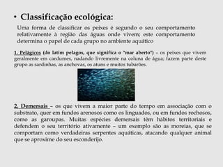 • Classificação ecológica: 
Uma forma de classificar os peixes é segundo o seu comportamento 
relativamente à região das águas onde vivem; este comportamento 
determina o papel de cada grupo no ambiente aquático 
1. Pelágicos (do latim pelagos, que significa o "mar aberto") – os peixes que vivem 
geralmente em cardumes, nadando livremente na coluna de água; fazem parte deste 
grupo as sardinhas, as anchovas, os atuns e muitos tubarões. 
2. Demersais – os que vivem a maior parte do tempo em associação com o 
substrato, quer em fundos arenosos como os linguados, ou em fundos rochosos, 
como as garoupas. Muitas espécies demersais têm hábitos territoriais e 
defendem o seu território ativamente – um exemplo são as moreias, que se 
comportam como verdadeiras serpentes aquáticas, atacando qualquer animal 
que se aproxime do seu esconderijo. 
 