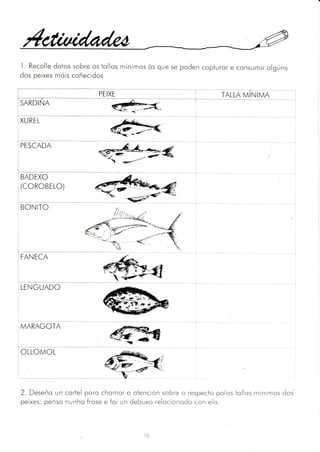 sobre os tollos mínimos ós que se poden copturor e consumir olgúns
coñecidos
I . Recolle dotos
dos peixes móis
-.-i
leoNrto
PEIXE
SARDINA
XUREL
PESCADA
BADEXO
(coRoBELO)
[rnNrcn
I
I
LENGUADO
MARAGOTA
2. Deseño un cortel poro chomor o otención sobre o respecto polos tollos minimos dos
peixes: penso nunho frose e foi un debuxo relocioncrdo con elo.
lf3
 
