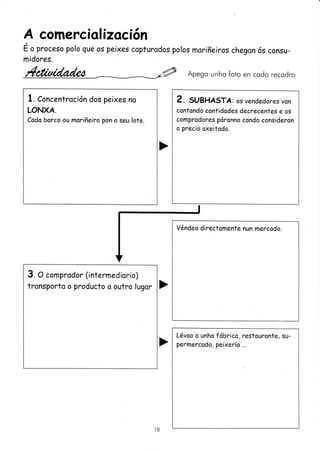 A comerciol izocíón
É o pto.eso polo que os peixes copturodos potos moriñeiros chegon ós consu-
midores.
,4cl:ctdad¿a
-
* @ Apeso unho foto en codo recodro
2. SUSHASTA: os vendedores von
contqndo contidodes decrecentes e os
comprodores páronno condo consideron
o precio oxeitodo.
t. Concentroción dos peixes no
LONXA.
Codo borco ou moriñeiro pon o seu lote.
Véndeo directomente nun mercodo.
3. O comprodor (intermediorio)
tronsporta o producto o outro lugor
Lévao o unho fdbrico, restouronte, su-
permerco do, peixería ...
10
 
