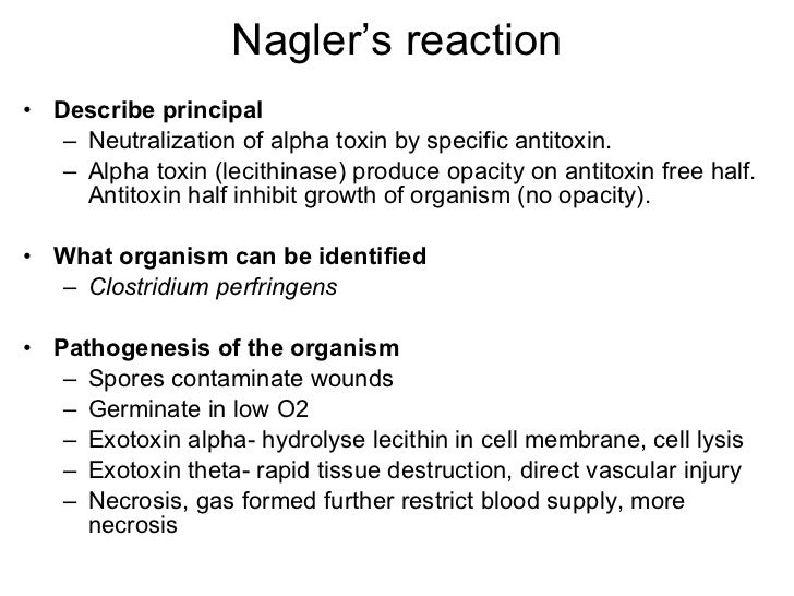 Microbiology slides part 2