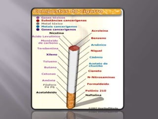 Os perigos de  fumar