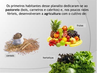 Os primeiros habitantes desse planalto dedicaram-se ao
pastoreio (bois, carneiros e cabritos) e, nos poucos vales
férteis, desenvolveram a agricultura com o cultivo de:
cereais
frutas
hortaliças
 