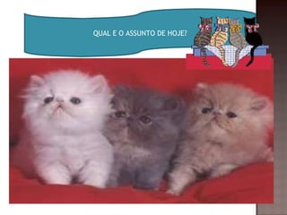 QUAL E O ASSUNTO DE HOJE?
 
