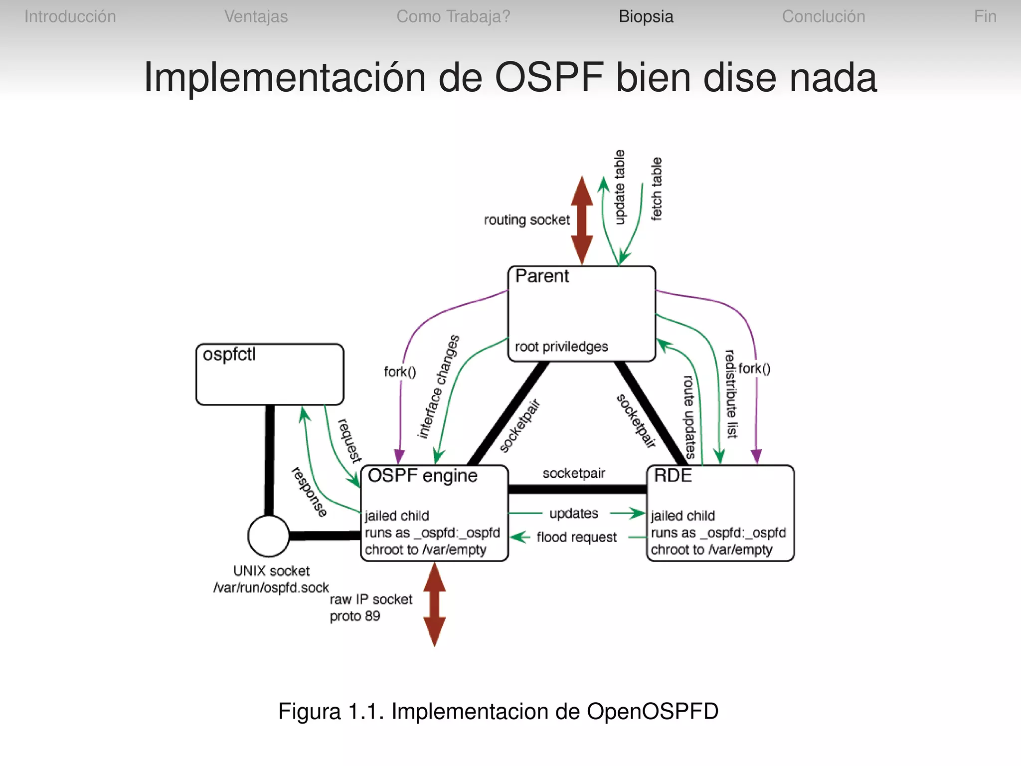 Introducción

Ventajas

Como Trabaja?

Biopsia

Conclución

Implementación de OSPF bien dise nada

Figura 1.1. Implementacion de OpenOSPFD

Fin

 