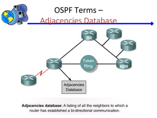 OSPF Terms –
Adjacencies Database
 