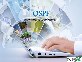 OSPF
www.netprotocolxpert.in
 