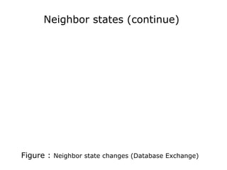 Neighbor states (continue)
Figure : Neighbor state changes (Database Exchange)
 