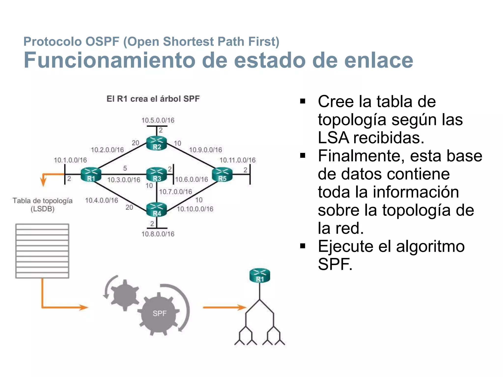 Protocolo OSPF (Open Shortest Path First)
Funcionamiento de estado de enlace
 Cree la tabla de
topología según las
LSA recibidas.
 Finalmente, esta base
de datos contiene
toda la información
sobre la topología de
la red.
 Ejecute el algoritmo
SPF.
 
