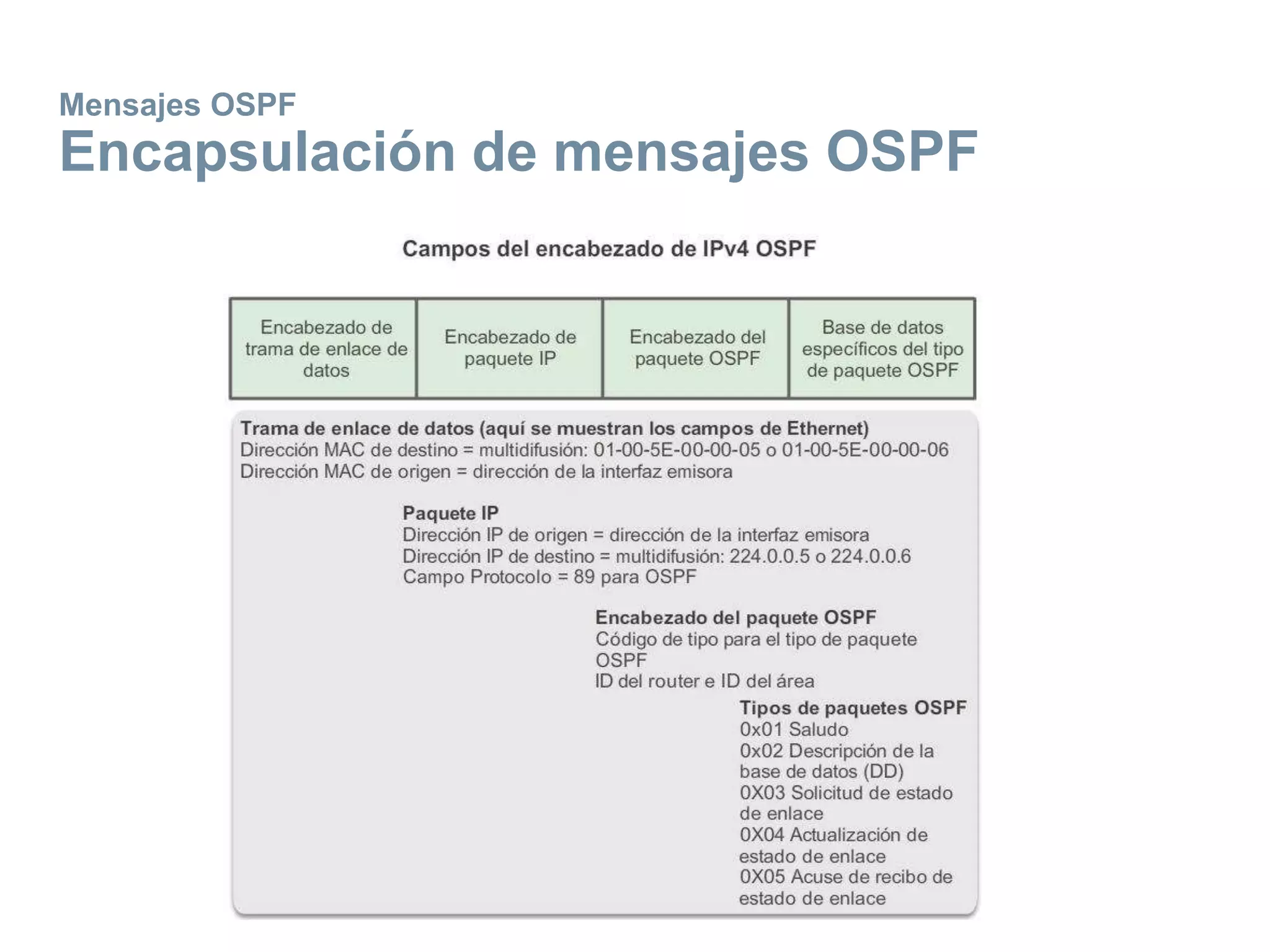 Mensajes OSPF
Encapsulación de mensajes OSPF
 