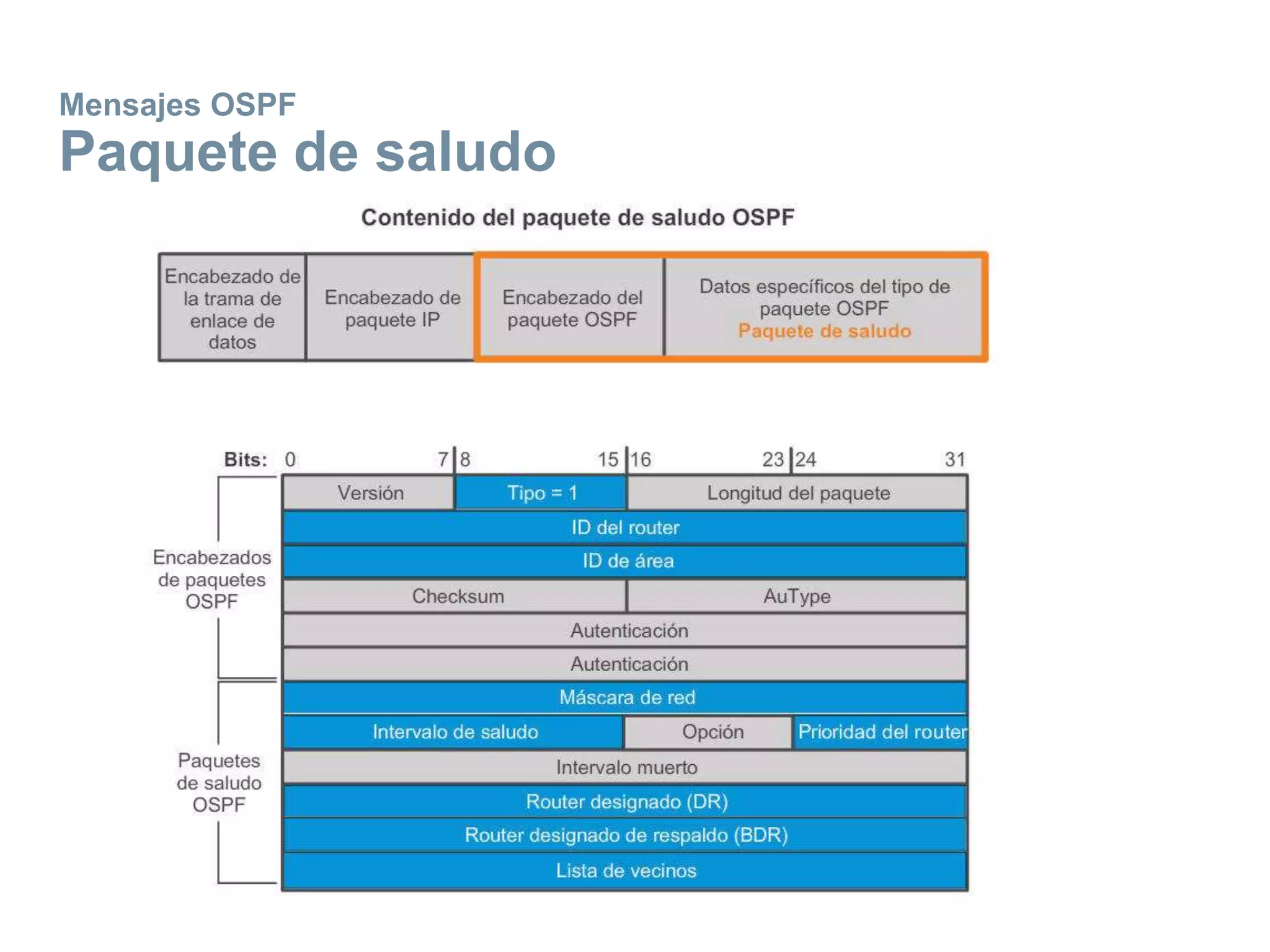 Mensajes OSPF
Paquete de saludo
 