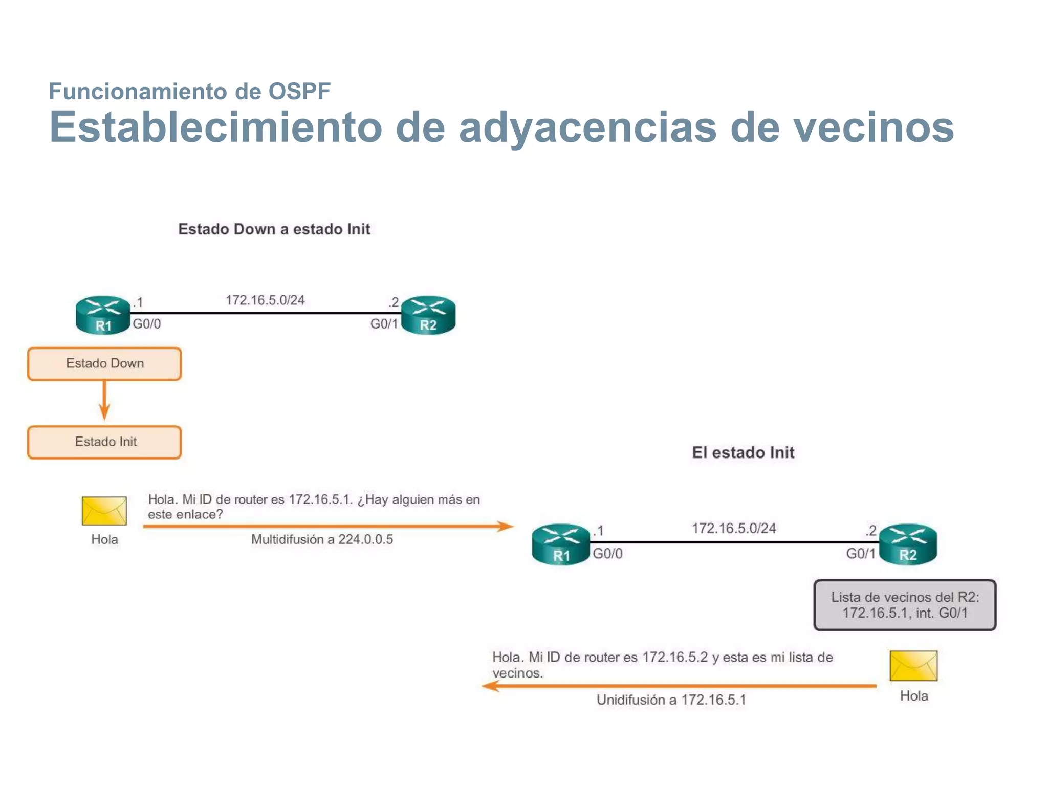 Funcionamiento de OSPF
Establecimiento de adyacencias de vecinos
 