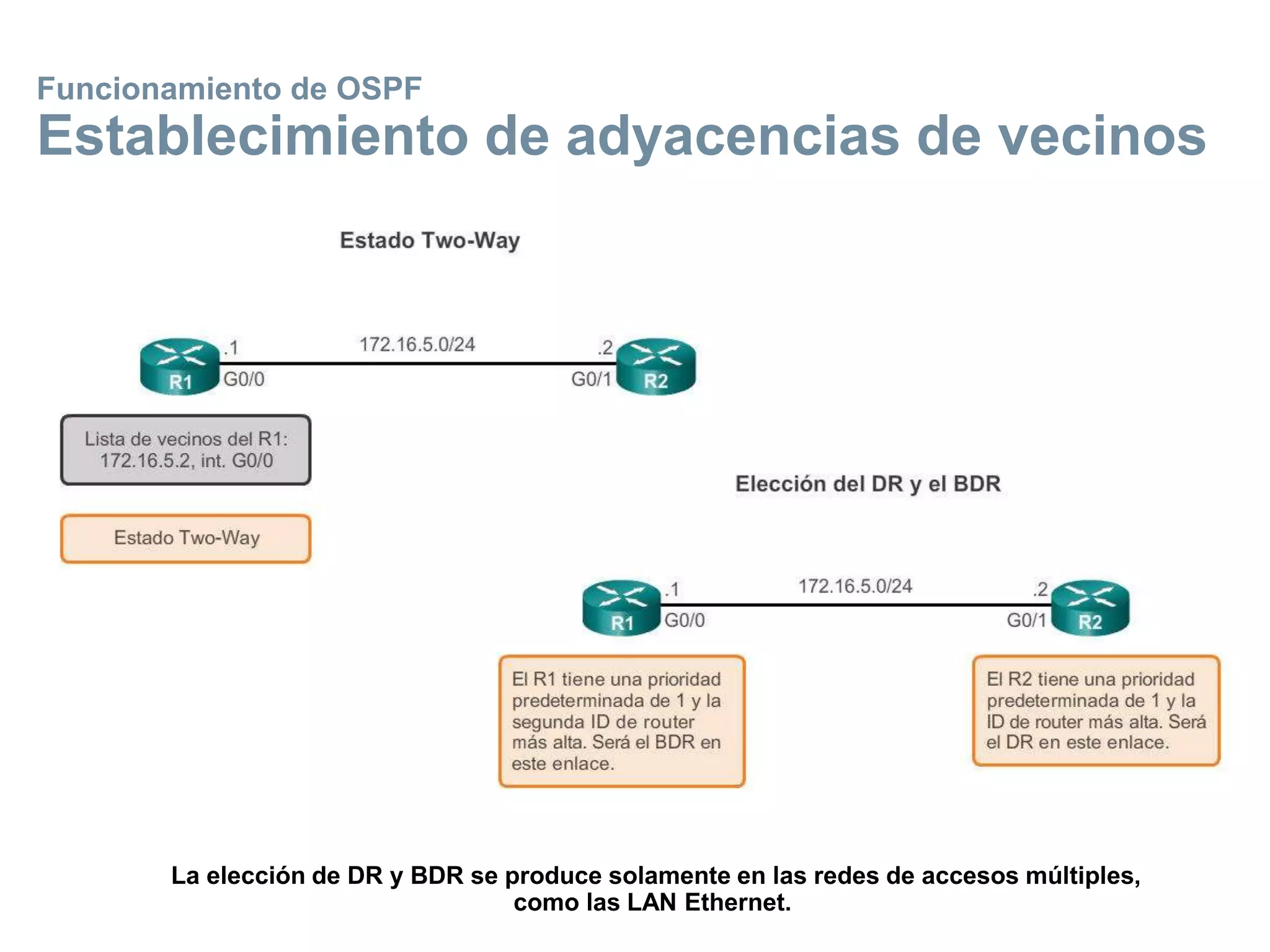 Funcionamiento de OSPF
Establecimiento de adyacencias de vecinos
La elección de DR y BDR se produce solamente en las redes de accesos múltiples,
como las LAN Ethernet.
 