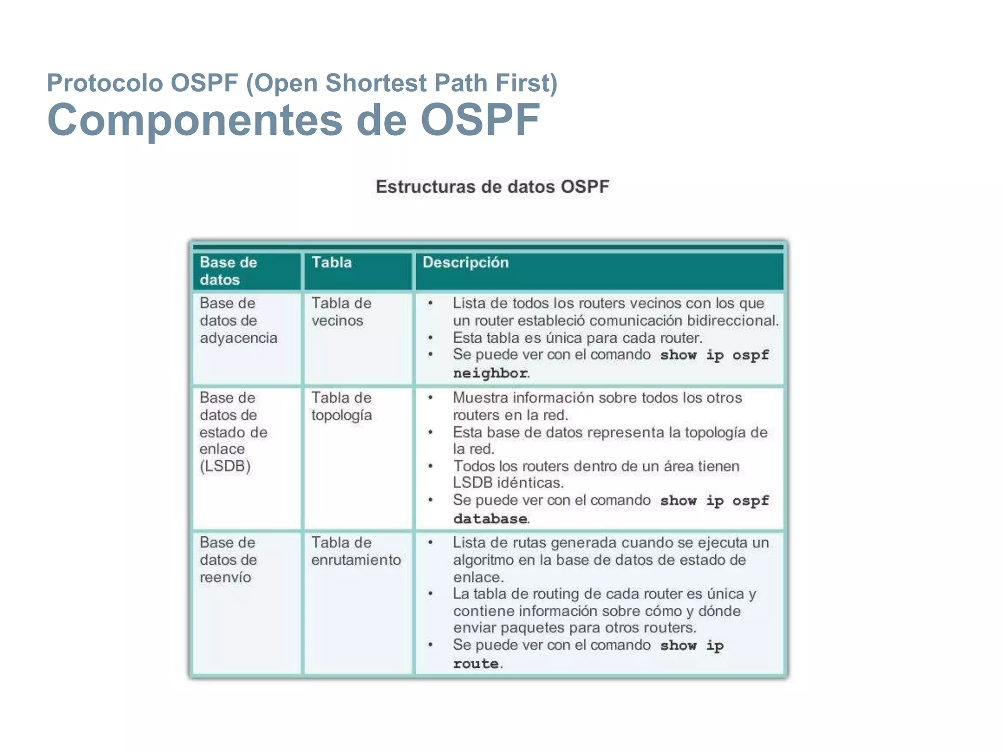 Protocolo OSPF (Open Shortest Path First)
Componentes de OSPF
 