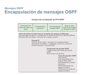 Mensajes OSPF
Encapsulación de mensajes OSPF
 