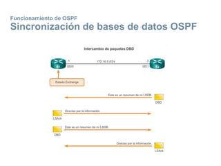 Funcionamiento de OSPF
Sincronización de bases de datos OSPF
 