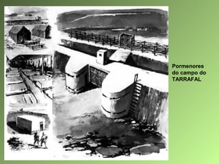 Pormenores
do campo do
TARRAFAL

 