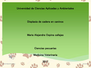 Universidad de Ciencias Aplicadas y Ambientales
Displasia de cadera en caninos
Maria Alejandra Ospina callejas
Ciencias pecuarias
Medicina Veterinaria
2017
06/10/2017Maria Alejandra Ospina
 