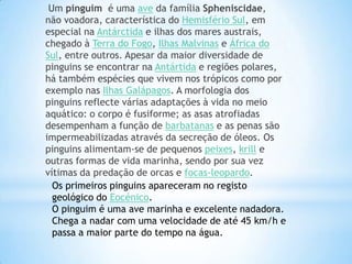  Um pinguimé uma ave da família Spheniscidae, não voadora, característica do Hemisfério Sul, em especial na Antárctida e ilhas dos mares austrais, chegado à Terra do Fogo, Ilhas Malvinas e África do Sul, entre outros. Apesar da maior diversidade de pinguins se encontrar na Antártida e regiões polares, há também espécies que vivem nos trópicos como por exemplo nas Ilhas Galápagos. A morfologia dos pinguins reflecte várias adaptações à vida no meio aquático: o corpo é fusiforme; as asas atrofiadas desempenham a função de barbatanas e as penas são impermeabilizadas através da secreção de óleos. Os pinguins alimentam-se de pequenos peixes, krill e outras formas de vida marinha, sendo por sua vez vítimas da predação de orcas e focas-leopardo.Os primeiros pinguins apareceram no registo geológico do Eocénico.O pinguim é uma ave marinha e excelente nadadora. Chega a nadar com uma velocidade de até 45 km/h e passa a maior parte do tempo na água.