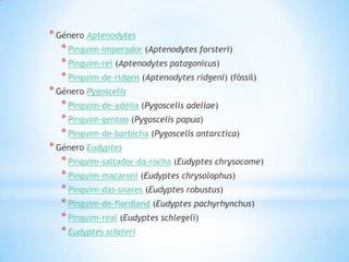 GêneroAptenodytesPinguim-imperador (Aptenodytes forsteri)Pinguim-rei (Aptenodytes patagonicus)Pinguim-de-ridgen (Aptenodytes ridgeni) (fóssil)GêneroPygoscelisPinguim-de-adélia (Pygoscelis adeliae)Pinguim-gentoo (Pygoscelis papua)Pinguim-de-barbicha (Pygoscelis antarctica)GêneroEudyptesPinguim-saltador-da-rocha (Eudyptes chrysocome)Pinguim-macaroni (Eudyptes chrysolophus)Pinguim-das-snares (Eudyptes robustus)Pinguim-de-fiordland (Eudyptes pachyrhynchus)Pinguim-real (Eudyptes schlegeli)Eudyptes sclateriGêneroSpheniscusPinguim-de-magalhães (Spheniscusmagellanicus)Pinguim-das-galápagos (Spheniscusmendiculus)Pinguim-de-humboldt (Spheniscushumboldti)Pinguim-africano (Spheniscusdemersus)GêneroEudyptulaPinguim-azul (Eudyptulaminor)Pinguim-azul-do-norte (Eudyptulaalbosignata)GêneroMegadyptesPinguim-de-olho-amarelo (Megadyptesantipodes)Pinguim-waitaha (Megadypteswaitaha)Gêneros extintosAnthropodyptesArchaeospheniscusChubutodyptesPachydyptesPalaeeudyptesPalaeospheniscusParaptenodytesPseudaptenodytesGénero AptenodytesPinguim-imperador (Aptenodytes forsteri)Pinguim-rei (Aptenodytes patagonicus)Pinguim-de-ridgen (Aptenodytes ridgeni) (fóssil)Género PygoscelisPinguim-de-adélia (Pygoscelis adeliae)Pinguim-gentoo (Pygoscelis papua)Pinguim-de-barbicha (Pygoscelis antarctica)Género EudyptesPinguim-saltador-da-rocha (Eudyptes chrysocome)Pinguim-macaroni (Eudyptes chrysolophus)Pinguim-das-snares (Eudyptes robustus)Pinguim-de-fiordland (Eudyptes pachyrhynchus)Pinguim-real (Eudyptes schlegeli)Eudyptes sclateri