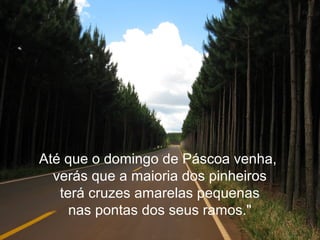 Até que o domingo de Páscoa venha,
verás que a maioria dos pinheiros
terá cruzes amarelas pequenas
nas pontas dos seus ramos."
 