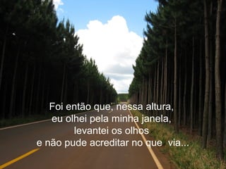 Foi então que, nessa altura,
eu olhei pela minha janela,
levantei os olhos
e não pude acreditar no que via...
 