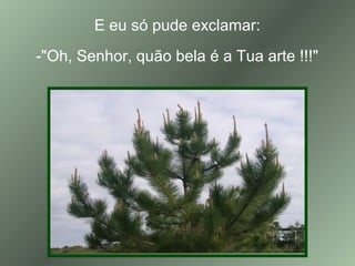 E eu só pude exclamar:
-"Oh, Senhor, quão bela é a Tua arte !!!"
 