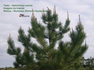 Texto – desconheço autoria
Imagens da Internet
Música – Murmures (Richard Clayderman)
 