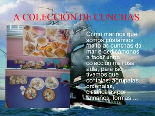 A COLECCIÓN DE CUNCHAS
Como mariños que
somos gústannos
moito as cunchas do
mar e dedicámonos
a facer unha
colección na nosa
aula, para iso
tivemos que
contalas, agrupalas,
ordenalas,
clasificalas por
tamaños, formas ...
 