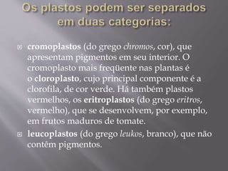  cromoplastos (do grego chromos, cor), que
apresentam pigmentos em seu interior. O
cromoplasto mais freqüente nas plantas é
o cloroplasto, cujo principal componente é a
clorofila, de cor verde. Há também plastos
vermelhos, os eritroplastos (do grego eritros,
vermelho), que se desenvolvem, por exemplo,
em frutos maduros de tomate.
 leucoplastos (do grego leukos, branco), que não
contêm pigmentos.
 