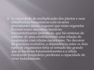 A capacidade de multiplicação dos plastos e suas
semelhanças bioquímicas com os seres
procariontes atuais sugerem que essas organelas
tiveram como ancestrais bactérias
fotossintetizantes primitivas, que há centenas de
milhões de anos estabeleceram uma relação de
cooperação com células eucariontes. No decorrer
do processo evolutivo, a dependência entre os dois
tipos de organismos teria se tornado tão grande
que as bactérias fotossintetizantes e a célula
eucarionte hospedeira perderam a capacidade de
viver isoladamente.
 