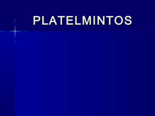 PLATELMINTOS
 