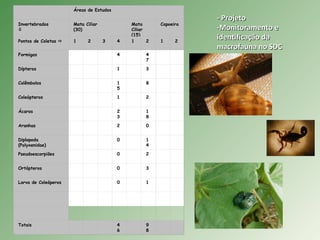 Áreas de Estudos
InvertebradosInvertebrados

Mata Ciliar
(30)
Mata
Ciliar
(15)
Capoeira
Pontos de Coletas  1 2 3 4 1 2 1 2
Formigas 4 4
7
Dípteros 1 3
Colêmbolos 1
5
8
Coleópteros 1 2
Ácaros 2
3
1
8
Aranhas 2 0
Diplopoda
(Polyxenidae)
0 1
4
Pseudoescorpiões 0 2
Ortópteros 0 3
Larva de Coleóperos 0 1
Totais 4
6
9
8
- Projeto- Projeto
-Monitoramento e-Monitoramento e
identificação daidentificação da
macrofauna no SDCmacrofauna no SDC
 