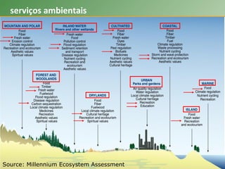 Source: Millennium Ecosystem Assessment
serviços ambientais
 
