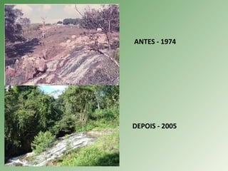 ANTES - 1974
DEPOIS - 2005
 