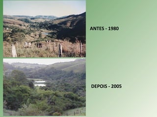 DEPOIS - 2005
ANTES - 1980
 