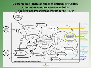 Diagrama que ilustra as relações entre as estruturas,
componentes e processos estudados
em Áreas de Preservação Permanente – APP
 