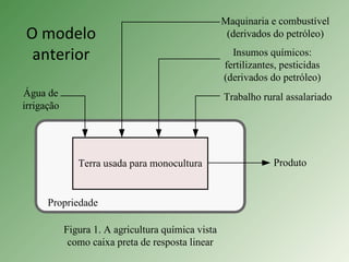 O modelo
anterior
Terra usada para monocultura
Propriedade
Trabalho rural assalariado
Insumos químicos:
fertilizantes, pesticidas
(derivados do petróleo)
Maquinaria e combustível
(derivados do petróleo)
Água de
irrigação
Figura 1. A agricultura química vista
como caixa preta de resposta linear
Produto
 