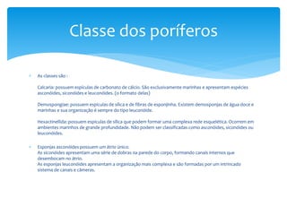  As classes são : 
Classe dos poríferos 
Calcaria: possuem espículas de carbonato de cálcio. São exclusivamente marinhas e apresentam espécies 
asconóides, siconóides e leuconóides. (o formato delas) 
Demospongiae: possuem espículas de sílica e de fibras de esponjinha. Existem demosponjas de água doce e 
marinhas e sua organização é sempre do tipo leuconóide. 
Hexactinellida: possuem espículas de sílica que podem formar uma complexa rede esquelética. Ocorrem em 
ambientes marinhos de grande profundidade. Não podem ser classificadas como asconóides, siconóides ou 
leuconóides. 
 Esponjas asconóides possuem um átrio único. 
As siconóides apresentam uma série de dobras na parede do corpo, formando canais internos que 
desembocam no átrio. 
As esponjas leuconóides apresentam a organização mais complexa e são formadas por um intrincado 
sistema de canais e câmeras. 
 